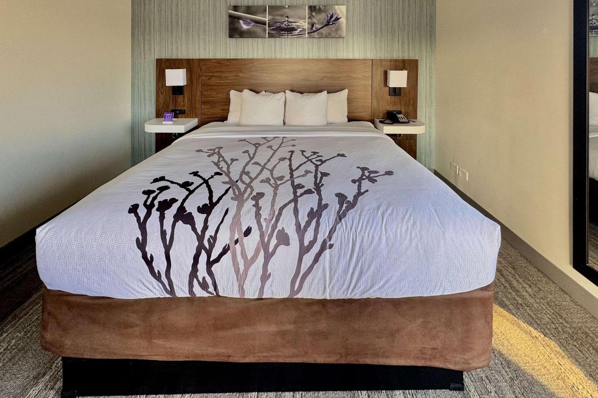 Sleep Inn Oakbrook Terrace - Chicago Εξωτερικό φωτογραφία
